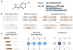 A Hitchhiker's Guide to Deep Chemical Language Processing for Bioactivity Prediction